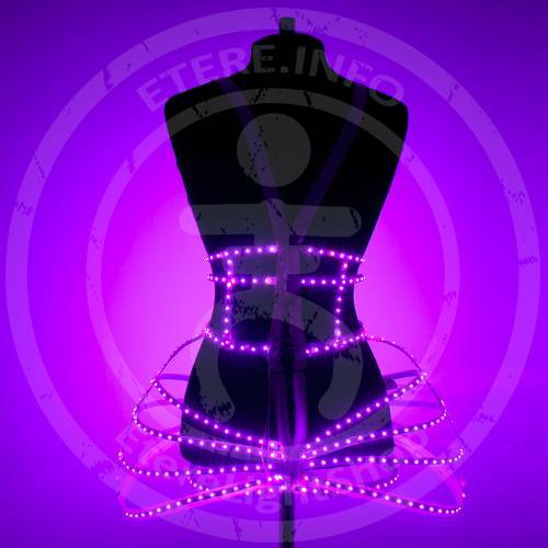 LED cage dress costume with bra on manneqiun view from back