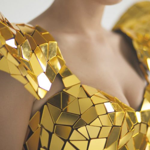 Top chest area from the mirror gold dress