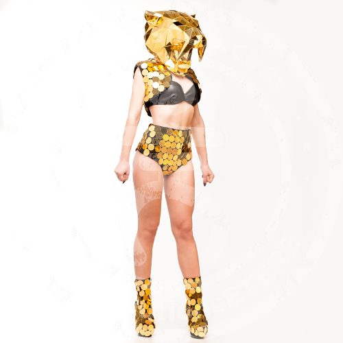 Tiger mirror mask carnivals solution