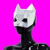 Mirror Cat mask