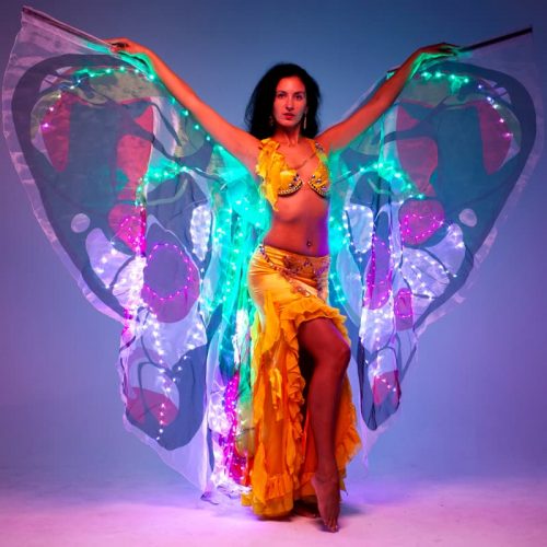 SALE: LED Belly Dance Costumes