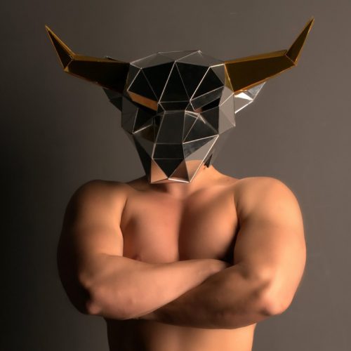 Mirror-bull-mask