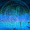 led zone