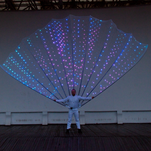 Peacock tail costume 1000 LED on stage