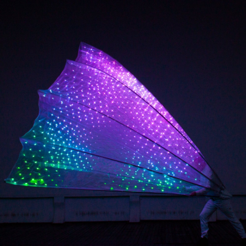 1000 LED Peacock Fan Costume, 3.8 meters high