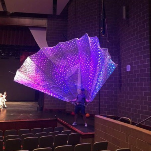 1000 LED Peacock Fan Tail Smart Costume backstage
