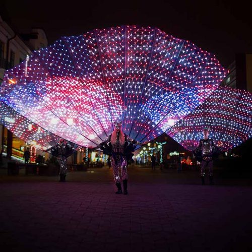 USA flag on 3 Peacock LED tails