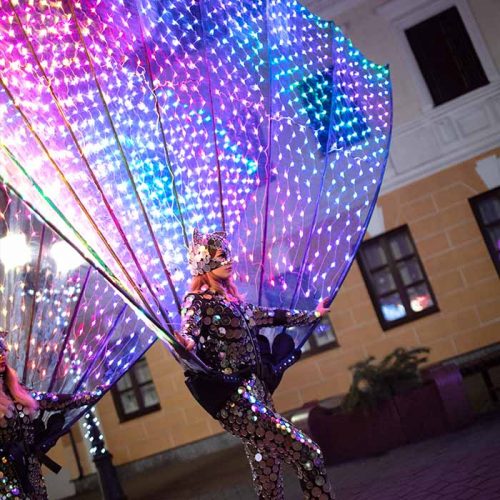 Smart colourfull LED Fan Tails