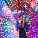 Rainbow Fan Tails 1000 Smart Leds