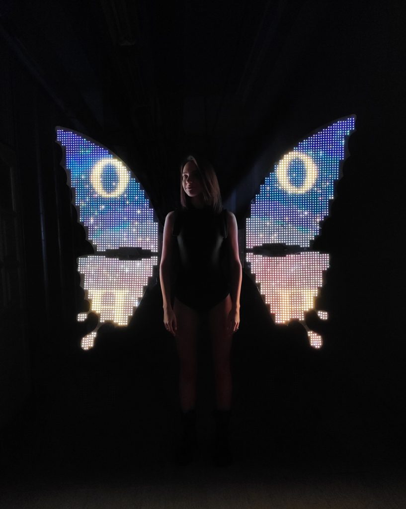 Smart Light Up Rainbow Butterfly Wings with 4k LEDs