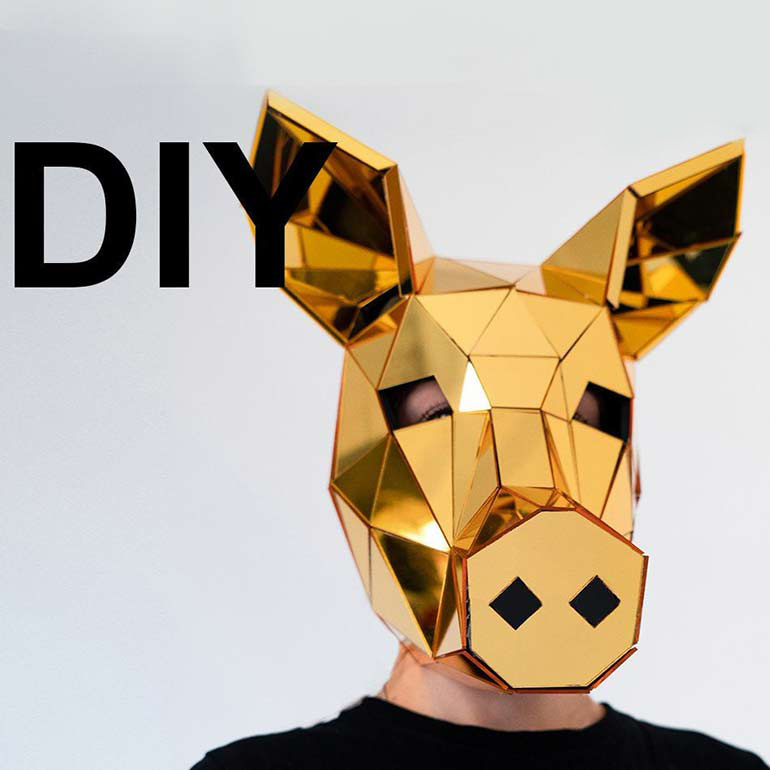 Pig DIY mirror mask