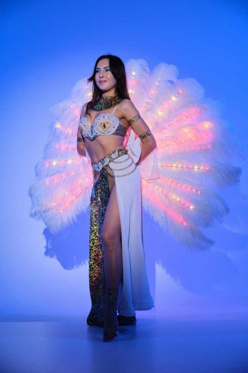Burlesque LED Fans with Feathers