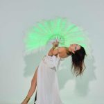 LED burlesque feather fans