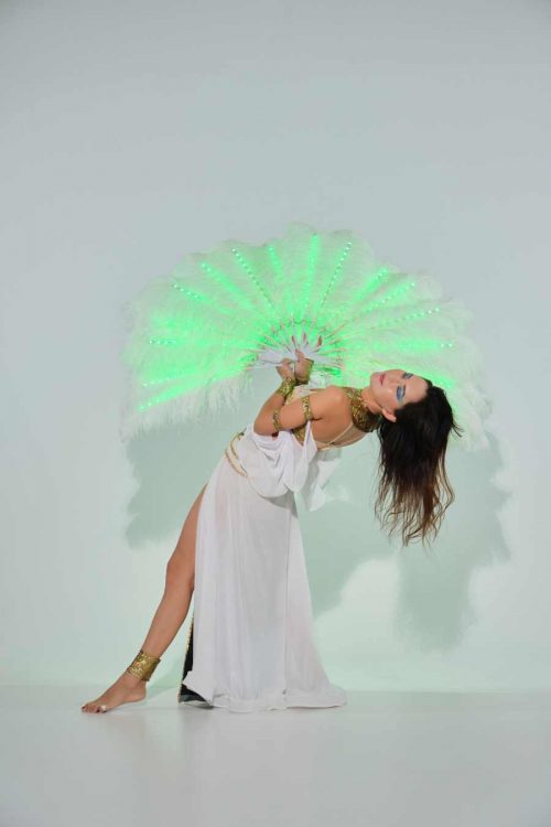 LED burlesque feather fans