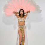 LED light up feather fan for belly dancing