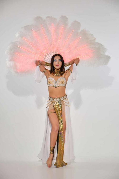 LED light up feather fan for belly dancing