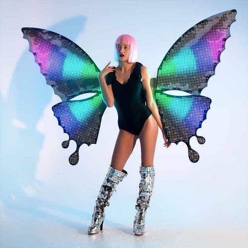Light Up Cosplay Wings by ETERESHOP