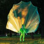 big-peacock-costume-for-show