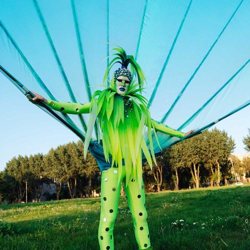 PEACOCK Inspired Featherless Costume — National Costume India at the United  Nations Pageant | by In the news | Medium