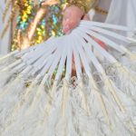 plastic-fan-with-feathers