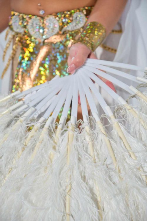 plastic-fan-with-feathers