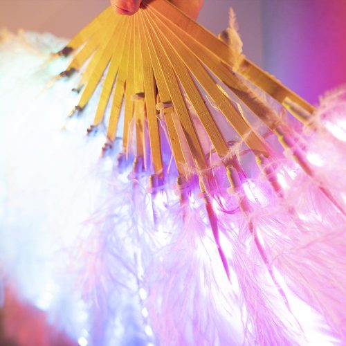feather fans with LEDs