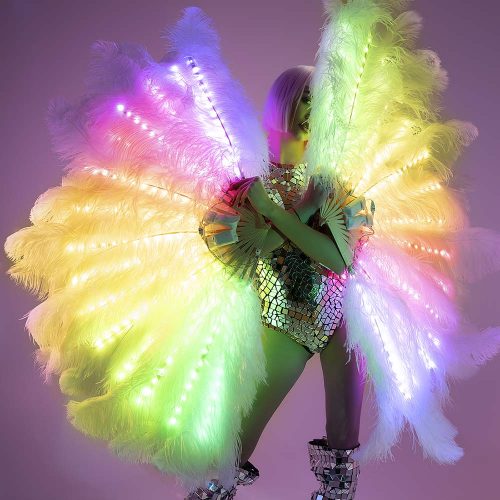 the fan with feathers is luminous