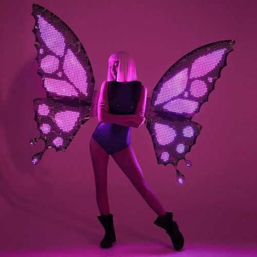 LED Butterfly Wings suit