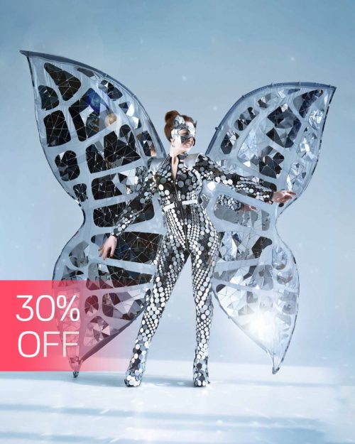 large-mirror-wings-butterflies-costume