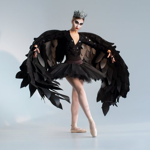 black bird wings costume