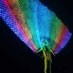 LED-Big-Peacock-Fan-Tail-Costume
