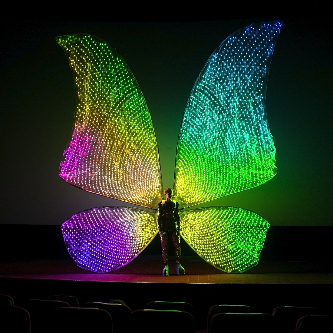 Giant Smart Pixel Butterfly Wings 4300 LEDs by ETERESHOP