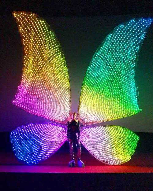 Giant LED Wings