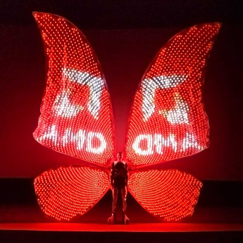 the idea of a costume-for-circus-performances-huge-led-butterfly wings