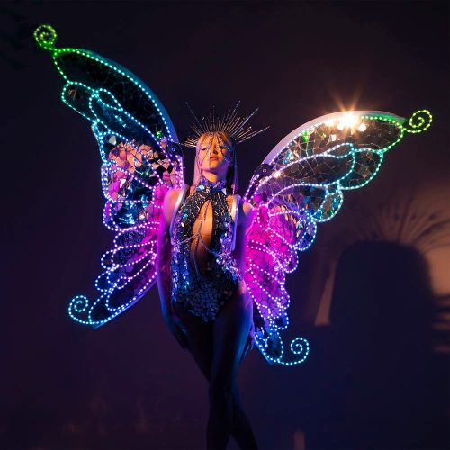 big-silver-mirror-butterfly-wings-costume-with-disco-ball effect