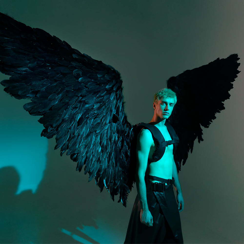 Black Devil Angel Cosplay Raven Wings by ETEREshop