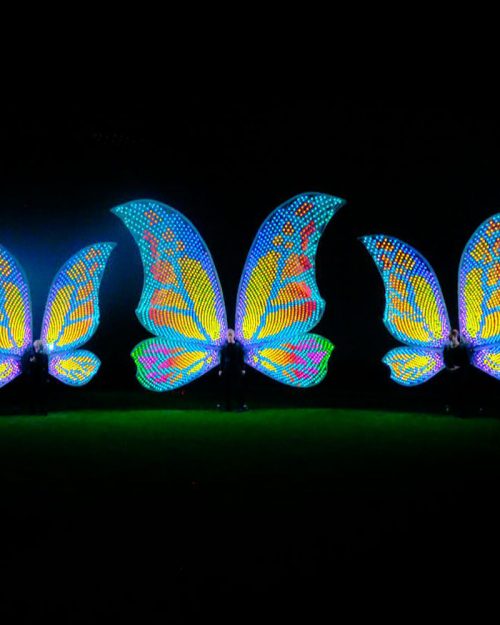 Big LED light up Butterfly Wings Costume