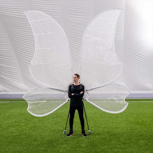 huge-butterfly-wings-for-performances-on-the-big-stage