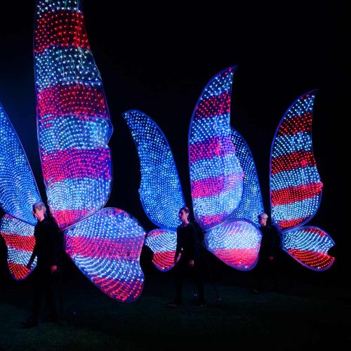 Butterfly wings 3,5 m 3400 LEDs