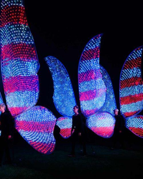 Butterfly wings 3,5 m 3400 LEDs