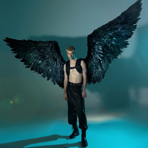 Large Black Wings Halloween 2022