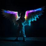 Large LED wings