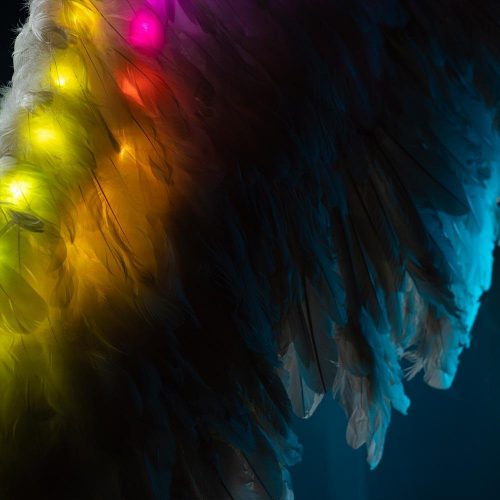 Wings with feathers and LEDs for adults