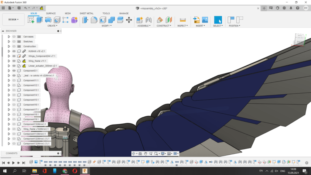 Modeling of the back of a large mechanical Wing