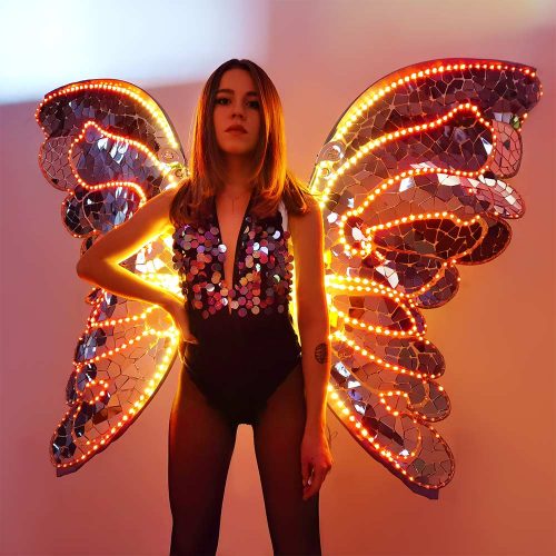 Mirror Butterfly Wings with LEDs