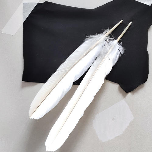 feathers-for-huge-white-wings