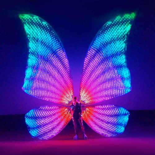 Huge-LED-butterfly-wings-for-big-scenes