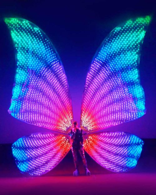 Huge-LED-butterfly-wings-for-big-scenes