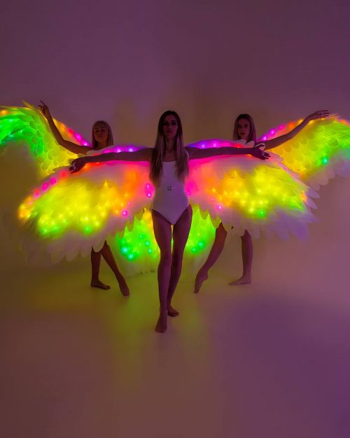 Wings Costume