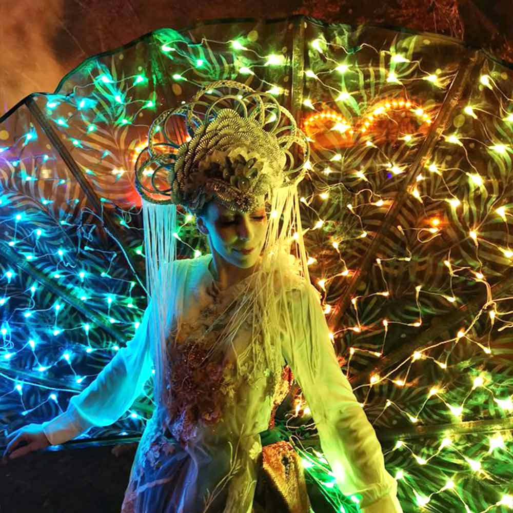 luminous-peacock-tail-for-show